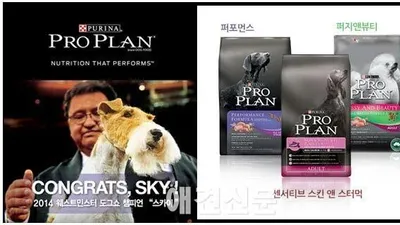 네슬레퓨리나 프로플랜, '마이펫 최고의 순간 이벤트' 진행