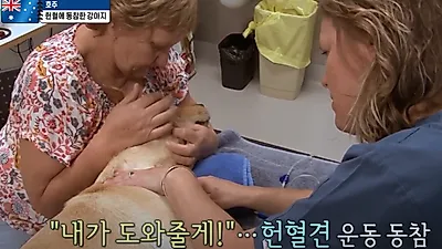 반려동물도 헌혈할 수 있다? 인식 개선 要