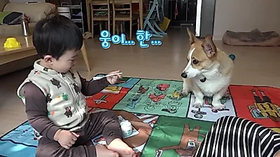 강아지 통키와 아기 웅이의 602일 동거, 출산 전 준비한 냄새 적응 훈련