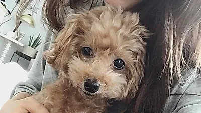 탤런트 김준희, 반려견 '몽오'와의 일상 공개