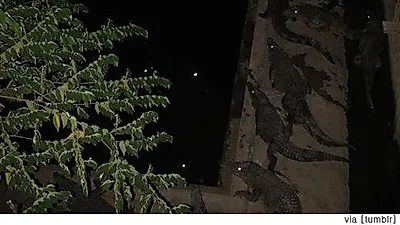칠흑같은 어둠 사이로 미세하게 보이는 불빛의 정체...'화들짝'