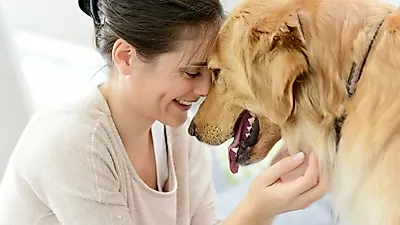언젠간 맞이해야 할 작별...반려견의 죽음에 대해