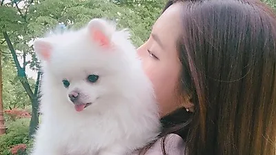 한채아 반려견 순심이와 즐거운 나들이