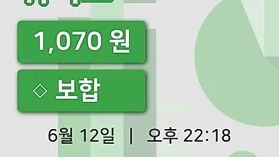 주식마감위지트 12일 1,070원 마감그래프복습 및 분석