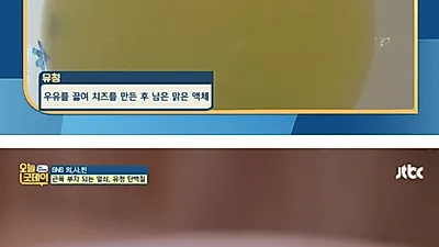 유청단백질 3가지 종류와 각각의 효능 뭐길래? '근육 손실 예방'에 탁월해 '셰이크 및 에너지바' 만드는 법은?