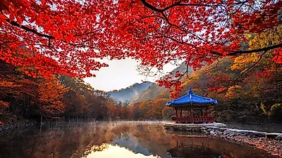 [주말나들이추천]막판 10월 축제 '단풍구경'은 민둥산억새꽃축제‧남이섬‧서울숲…10월 여행지 추천