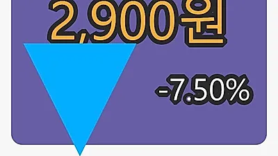 써니전자 5일 마감가 2,900원 전일대비 -7.50%등락..