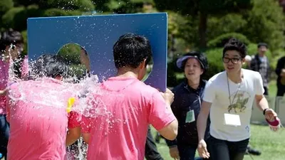 [포토] 애견한마당 '물풍선 명중!'