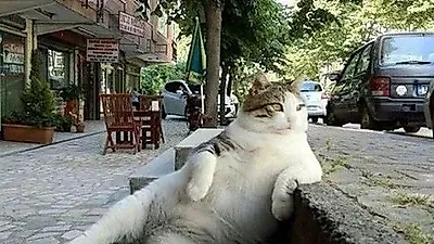 독특한 포즈로 인기얻은 고양이…동상으로 제작