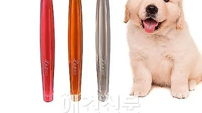 비바텍, 반려동물 전용칫솔 럭스펫3P 세트 출시
