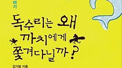 [책]독수리는 왜 까치에게 쫓겨다닐까?