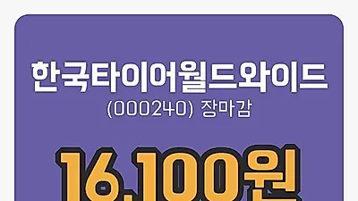 주식마감한국타이어월드와이드 21일 16,100원 마감그래프분석