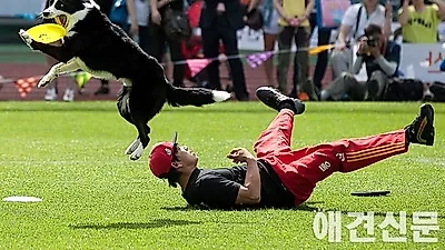 [포토] 이런 묘기 보셨나요?