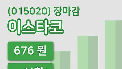 국내주식마감이스타코 7일 676원 장종료