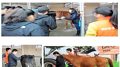 한국마사회, 5학기 재활 승마 강습생 모집