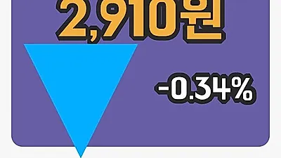 국내주식마감토탈소프트 7일 2,910원 장종료