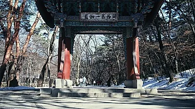 당일여행으로 추천하는 대전 근교 가볼만한곳…'속리산 법주사·하늘물빛정원·목소리테마파크'