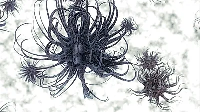 산모가 특히 조심해야 하는 지카 바이러스 증상
