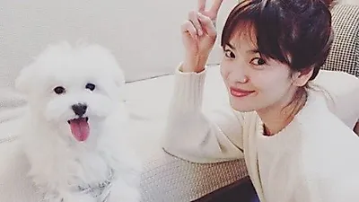 송혜교, 반려견과 즐거운 한때…흐뭇한 모습