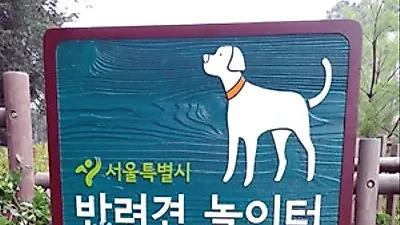 수원시, 상반기내로 각 구마다 애견공원 신설키로