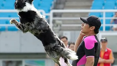 [포토] 스카이하운즈 세계챔피언쉽 한국대회