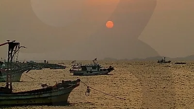 [추석에 가볼 만한 곳⑦] 추석 연휴 국내 여행 '경기도 가볼 만한 곳' BEST…자라섬·곤지암 화담숲·제부도 추천 여행지