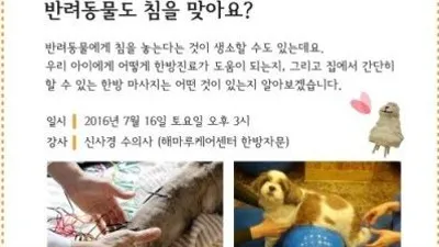 해마루케어센터, '반려동물도 침을 맞아요?' 강연 16일 개최