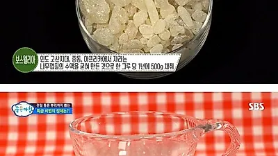 보스웰리아 무릎 통증은 줄이고 단백질 생성은 촉진시켜? '분말가루 먹기 VS 바르기' 한눈에 총정리