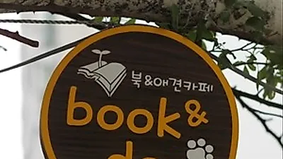 경기도 광명에 새롭게 오픈한 'Book & Dog' 애견카페