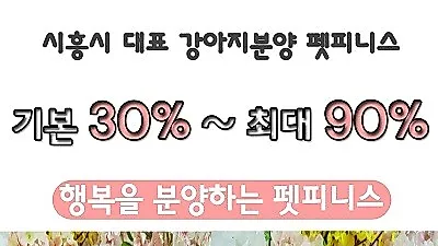시흥강아지분양 전문업체 펫피니스, 분양금액 최대 90% 할인 이벤트 진행 중
