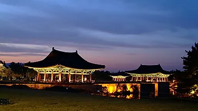 [추석에 가볼 만한 곳⑤] 추석 연휴 국내 여행 추천 '경북 가볼 만한 곳'…경주 핑크뮬리 시기, 가을해변, 포항 여행 추천 BEST  