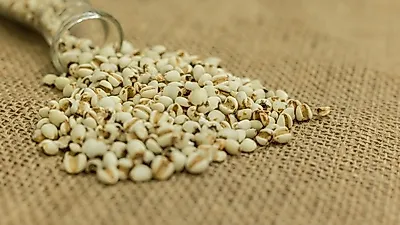 다이어트에 좋은 율무효능