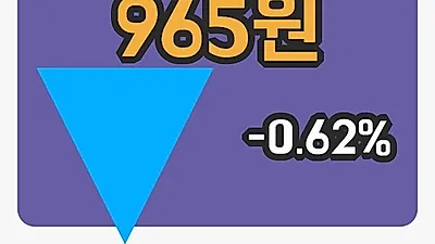 주식마감체시스 21일 965원 장종료그래프종합통계