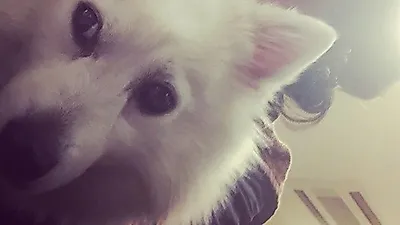 전소민, 강아지와 다정한 투샷 "여기 좀 봐"