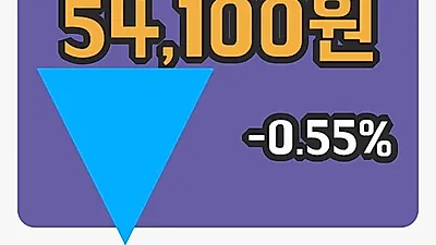 국내주식마감세아제강지주 27일 54,100원 마감그래프종합