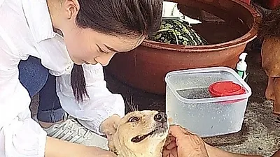 홍수아, 유기견 300마리 키우는 아롬이 어머니댁 방문 "힘이 되어 주세요"