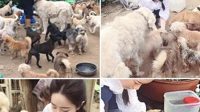 홍수아, 유기견 관심 호소 "천사들에게 힘이 돼주세요"