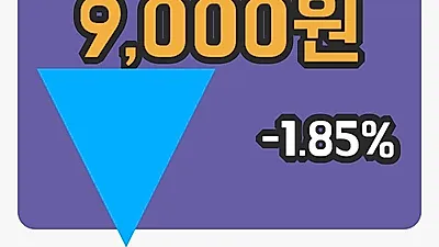 넥센타이어 2일 9,000원 장종료