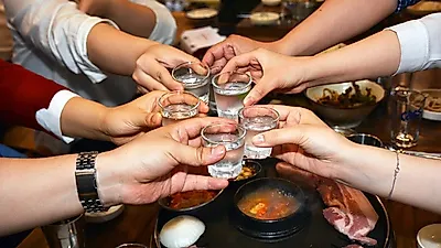'굼벵이 효능' 위해 먹을 수 있는 식용굼벵이는?