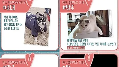 '신혼일기' 안재현·구혜선, 여섯 반려동물 선 공개