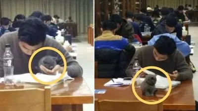 도서관에 고양이를 데리고 등장한 중국 남성