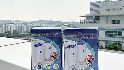 장마철 단골 좀벌레, 9차 완판 '비비딕 퇴치기'로 해결