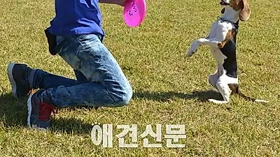 '동물과사람' 국내 최초 애견 국비교육과정 개설