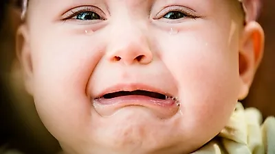 신생아의 울음에 대한 사람의 반응은 본능적