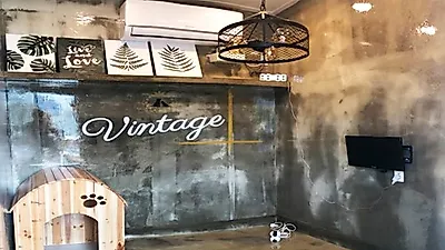 전주 '더펫', 전주애견호텔 '개린이집' 오픈, 365일 운영으로 추석연휴에도 안심케어