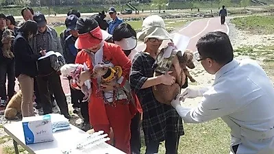대전 서구, '광견병 무료 예방 접종' 실시