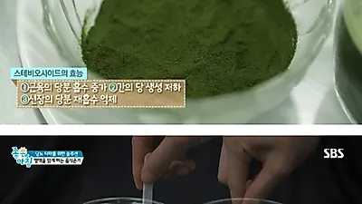 새싹보리분말, 당뇨 증상에 탁월한 이유? '스테비오사이드' 효능 때문, 다이어트 식단 먹는 법과 부작용 정리