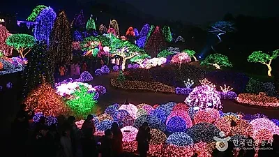 [크리스마스데이트] '2018년 12월 빛축제' 서울에서 부산까지 총정리! 당일치기 국내겨울여행지추천 10