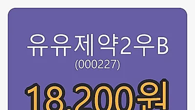 유유제약2우B마감가 18,200원 1.11프로 등락..