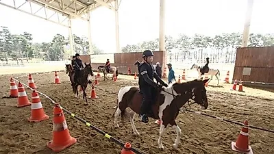 렛츠런파크 부산경남 '말산업 직업체험'…직접 체험이 인기비결